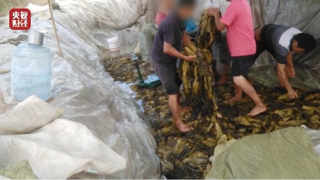 食品安全问题不容忽视