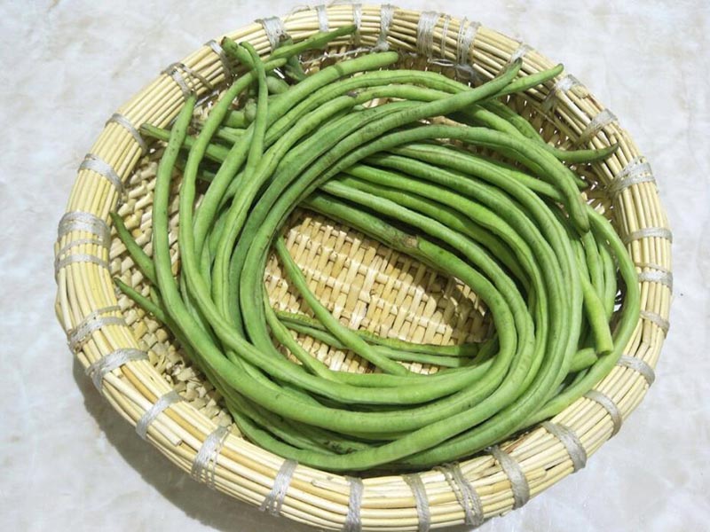 河北豇豆农药残留治理重点