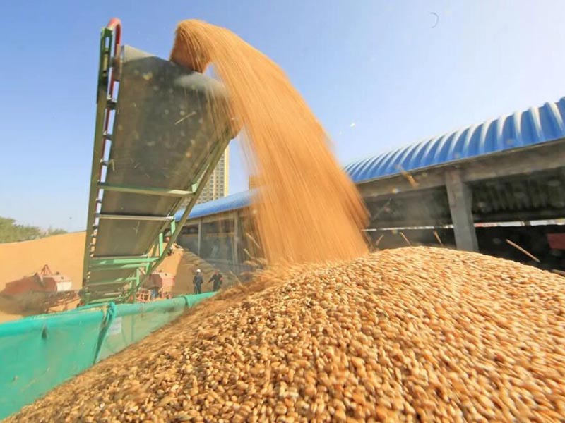 粮食重金属快速检测仪使用方法