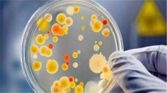 atp荧光微生物检测仪怎么用