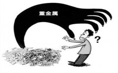 食品重金属检测仪定量定性分析食品中的重金属含量