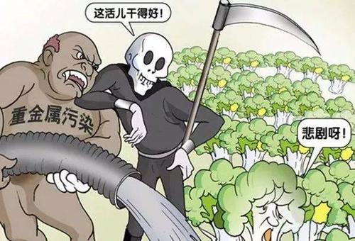 食品重金属检测仪.jpg