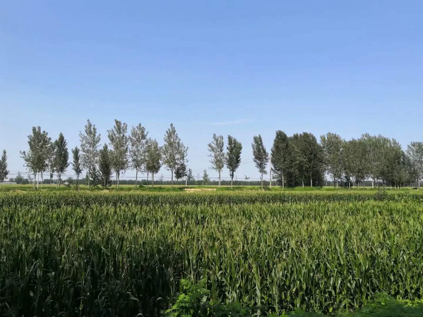 土壤养分测试仪