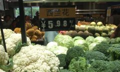 农药检测仪器维护市场秩序