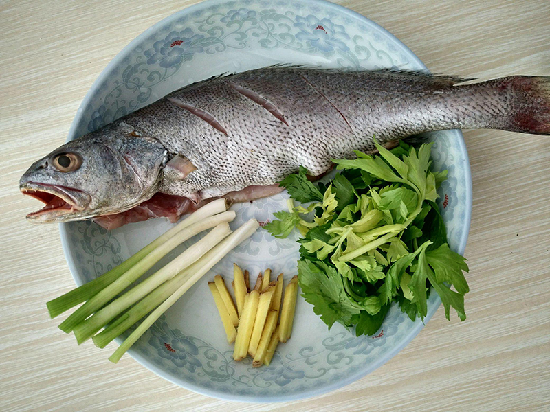 鱼类检测仪
