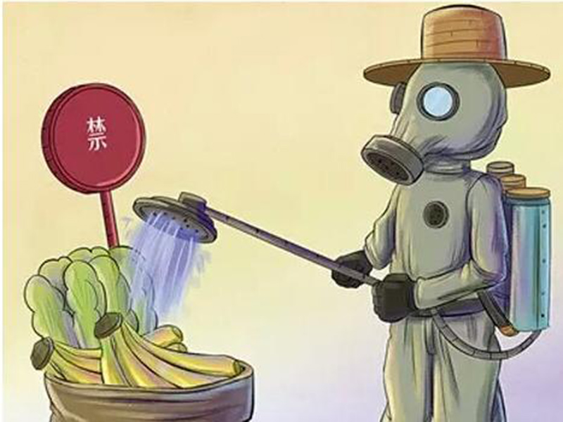 农药残留检测仪为消费者提供安全食品