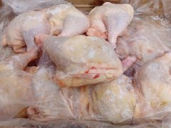 霍尔德食品检测设备：HED-BR12病害肉检测仪介绍