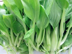 农药残留快速检测仪，检测蔬菜中的有机磷含量