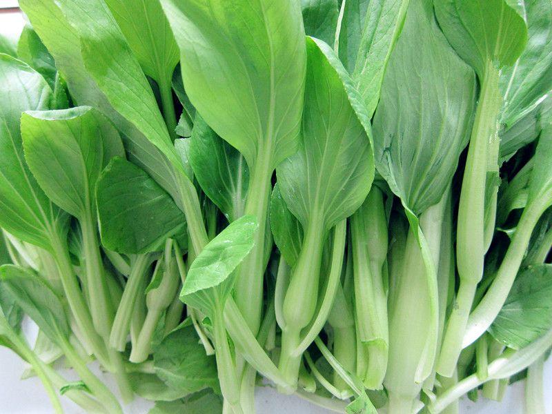农药残留快速检测仪，检测蔬菜中的有机磷含量