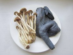 乌鸡中为何会检测出恩诺沙星超标？
