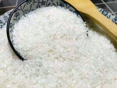 大米重金属镉快速检测仪要怎么选？