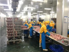 微生物细菌检测仪，对食品生产线卫生进行检测
