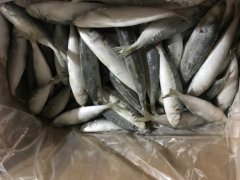 为什么水产品中被频繁检测出重金属超标？