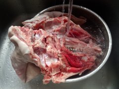 兽药残留检测仪可以检测氯霉素含量吗？