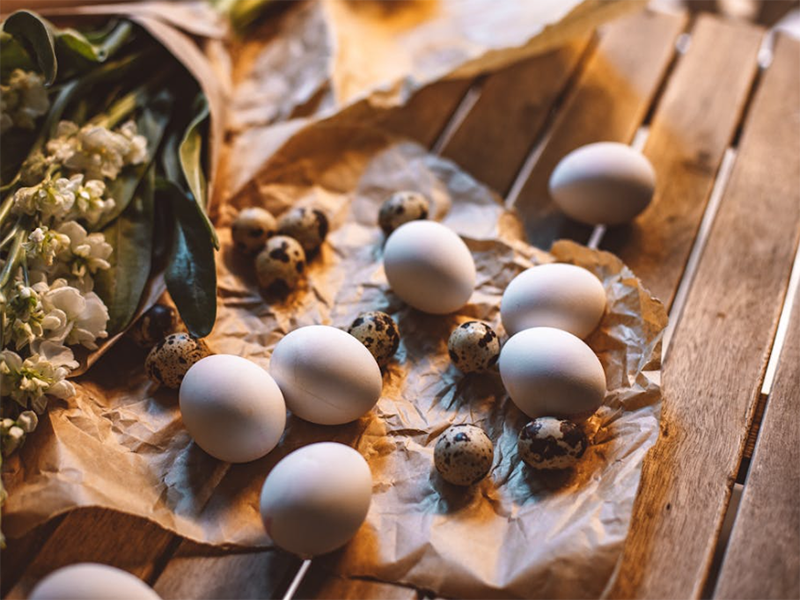 食品安全概念与五大要点（食品安全小常识）