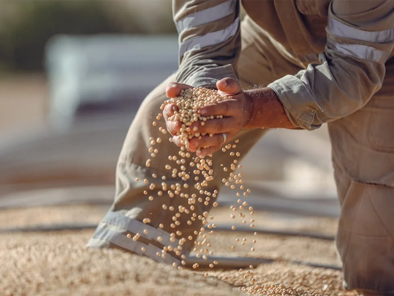 食品重金属常见种类及污染来源
