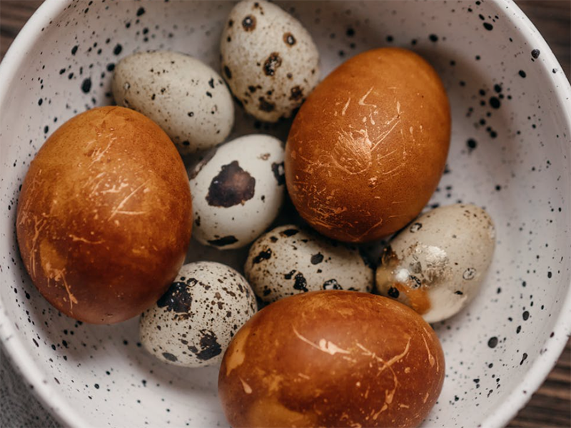 食品中残留抗生素的来源与分布