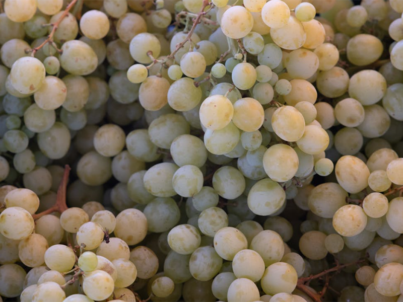 农药残留检测国家标准