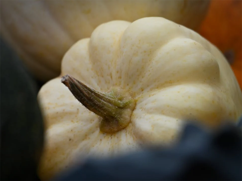 食品安全检测仪工作原理