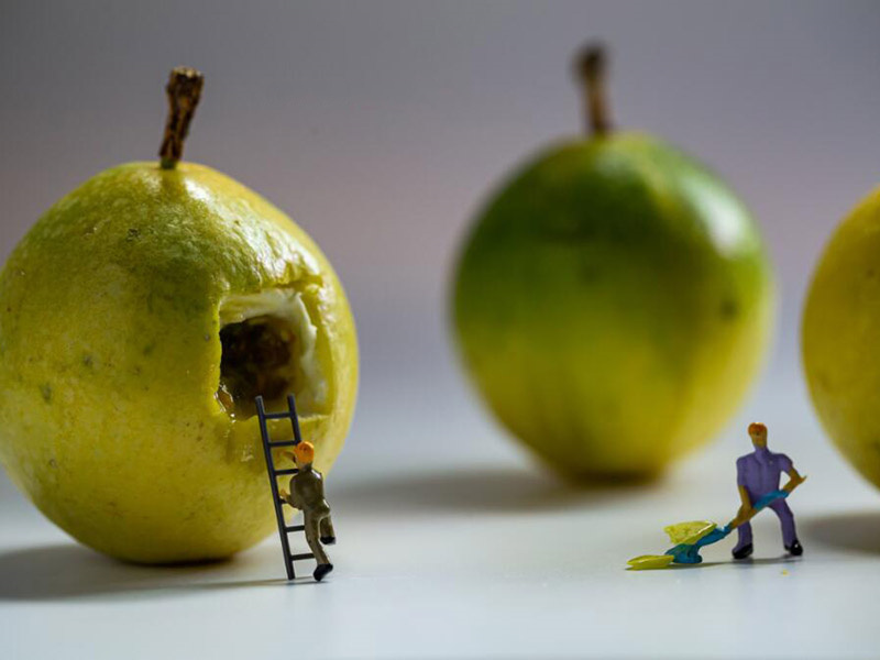 便携农残检测仪原理